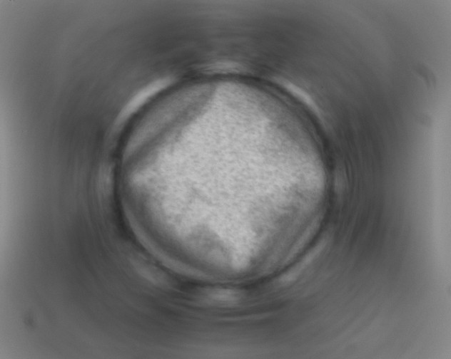 X0000113591309200910161834