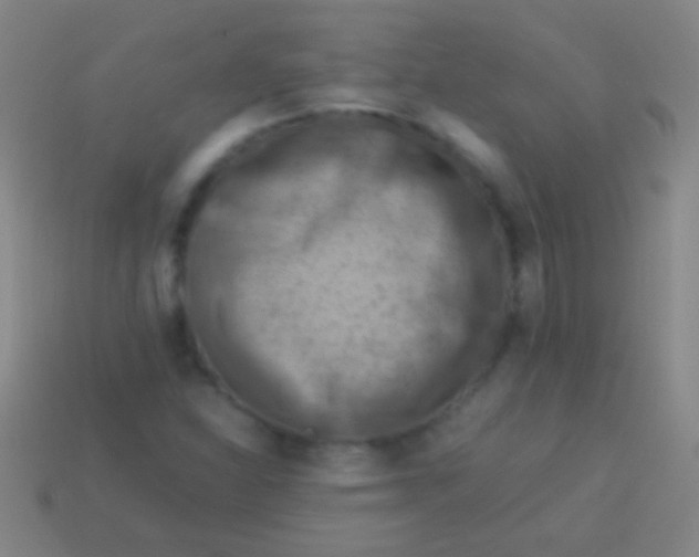 X0000113591310200910161834
