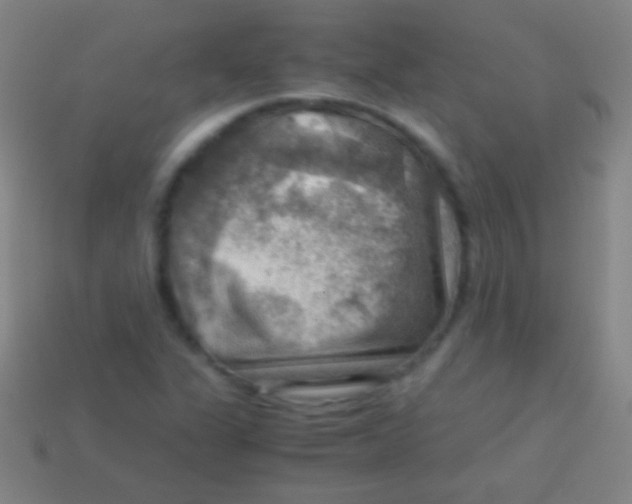 X0000113591311200910161834