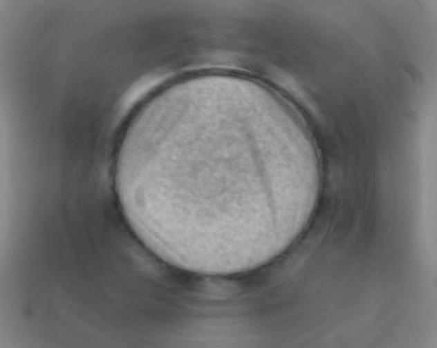 X0000113591312200910161834