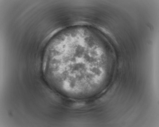 X0000113591313200910161834