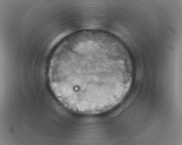 X0000113591314200910161834