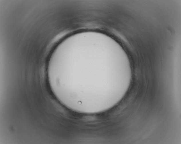 X0000113591315200910161834