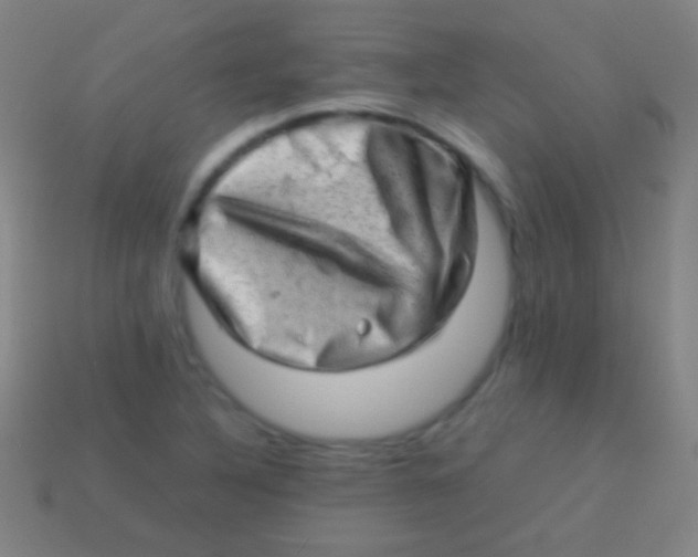 X0000113591316200910161834