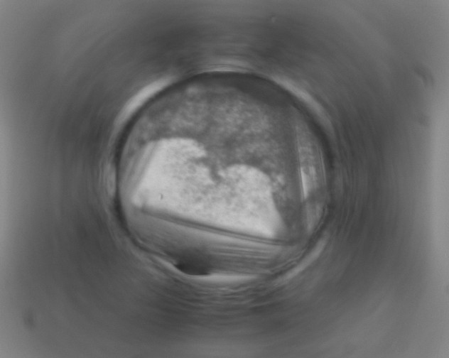 X0000113591317200910161834