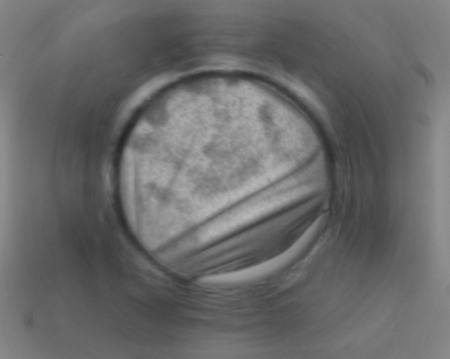 X0000113591318200910161834