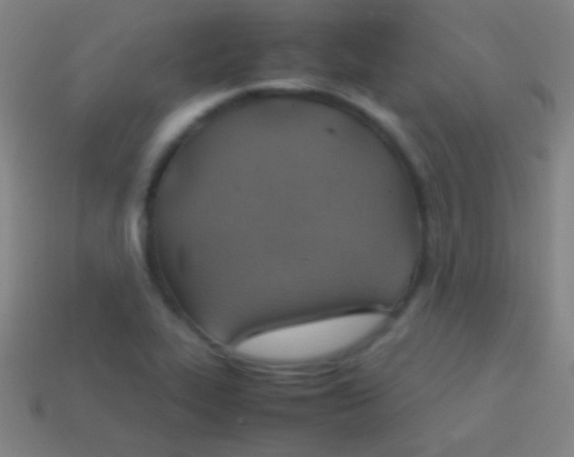X0000113591319200910161834
