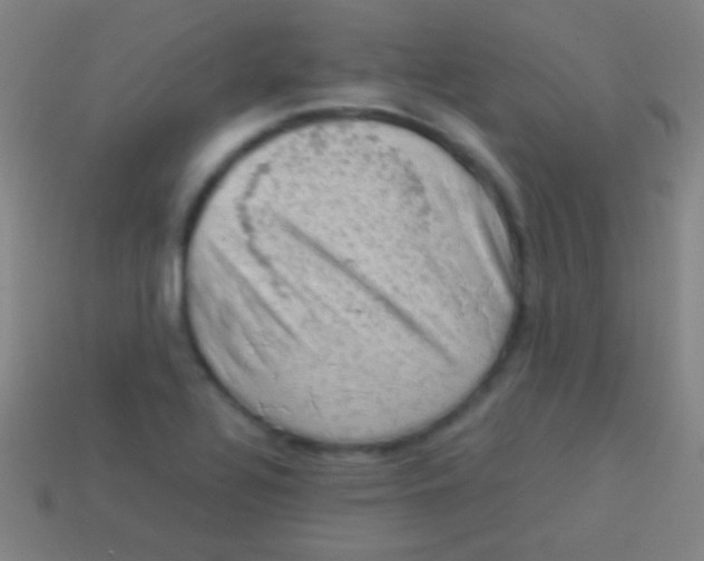 X0000113591320200910161834