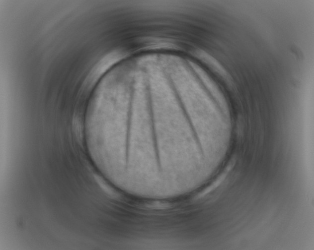 X0000113591321200910161834