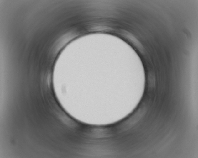X0000113591322200910161834