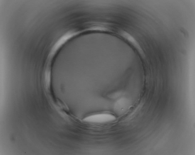 X0000113591323200910161834