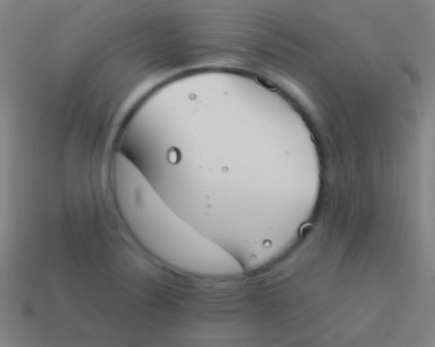 X0000113591324200910161834