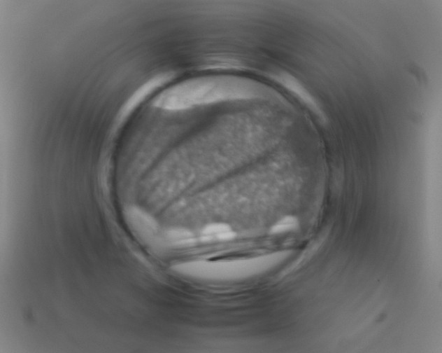 X0000113591325200910161834