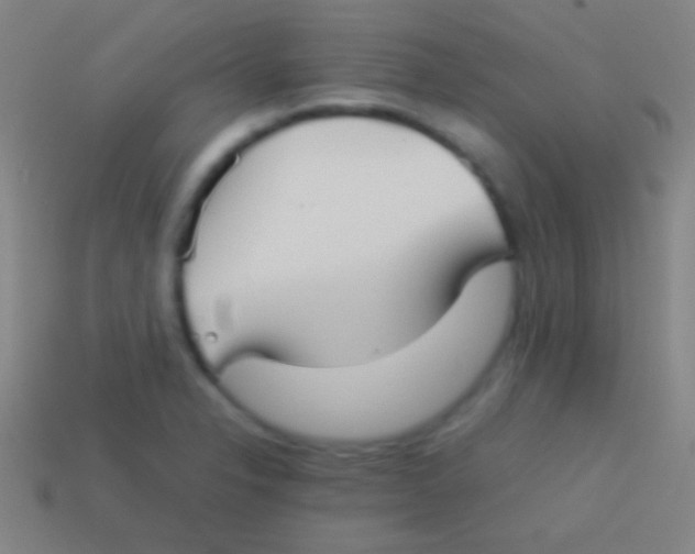 X0000113591326200910161834