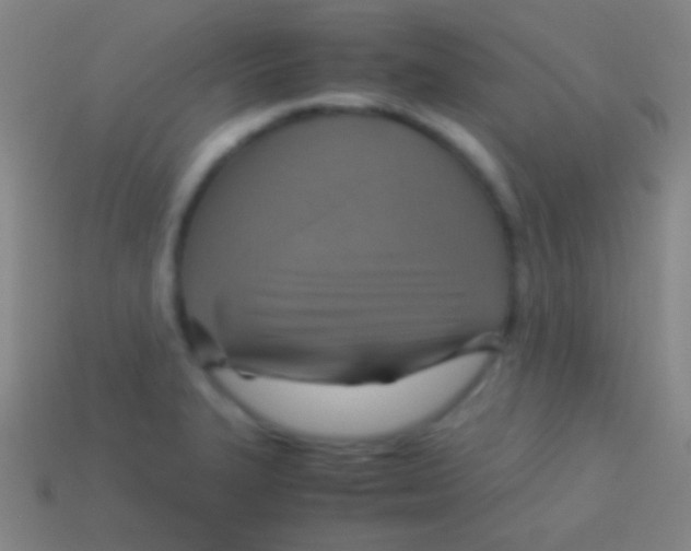 X0000113591327200910161834