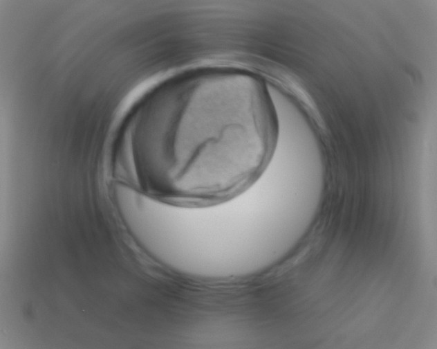 X0000113591328200910161834