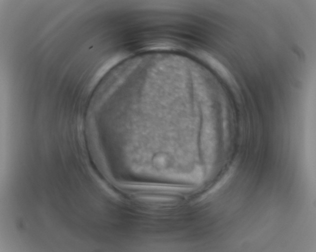 X0000113591329200910161834