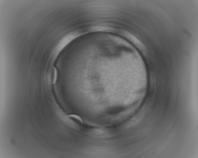 X0000113591330200910161834