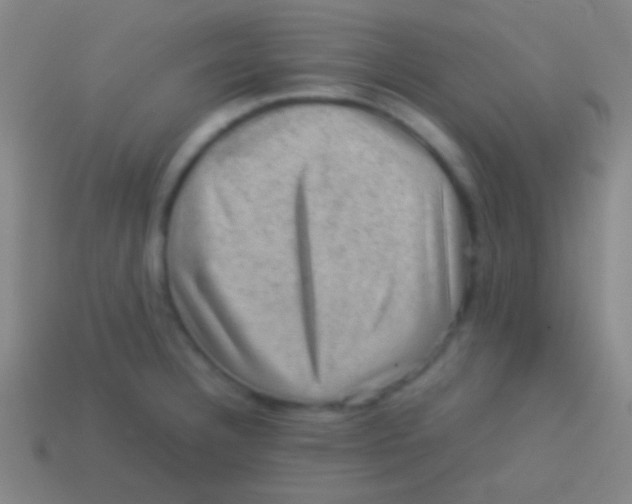 X0000113591332200910161834