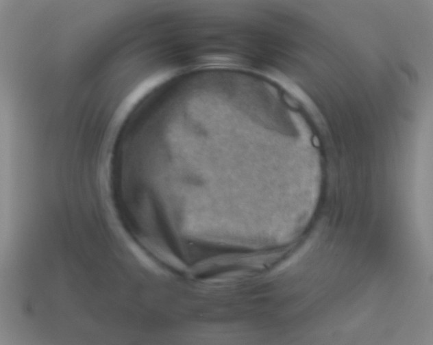 X0000113591333200910161834