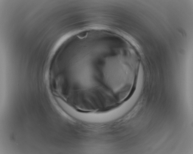 X0000113591334200910161834