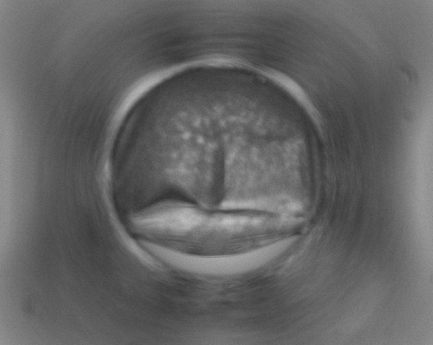 X0000113591335200910161834