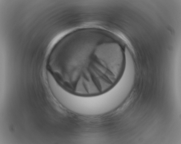 X0000113591336200910161834