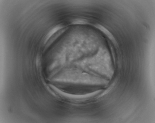 X0000113591337200910161834
