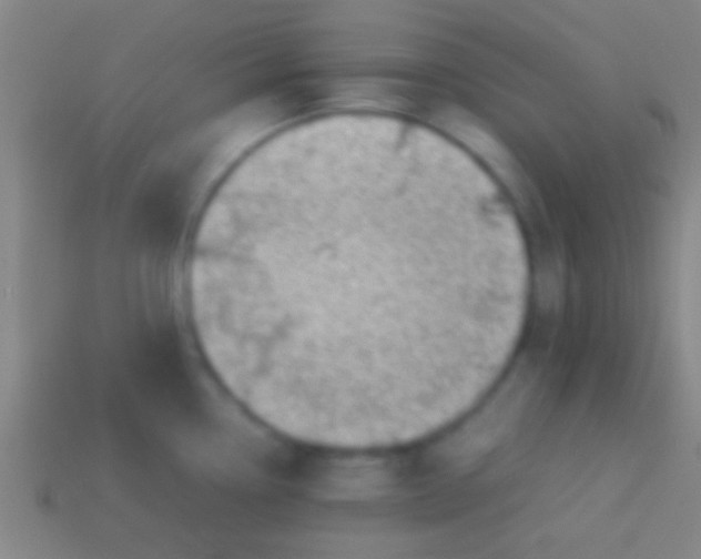 X0000113591338200910161834
