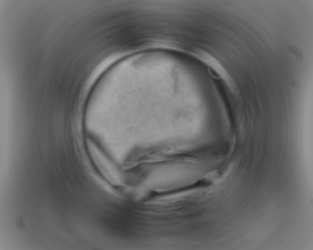 X0000113591339200910161834