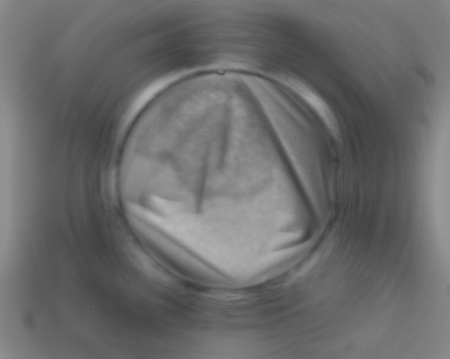 X0000113591340200910161834