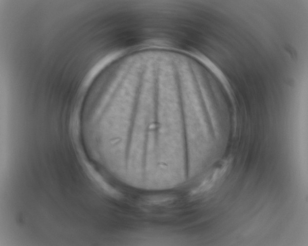 X0000113591341200910161834