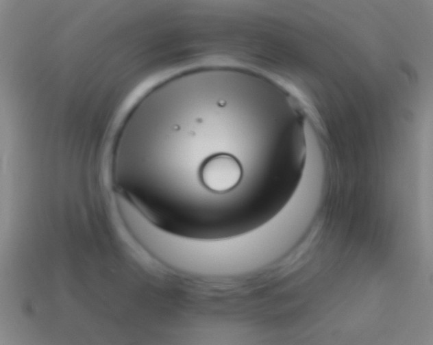 X0000113591342200910161834