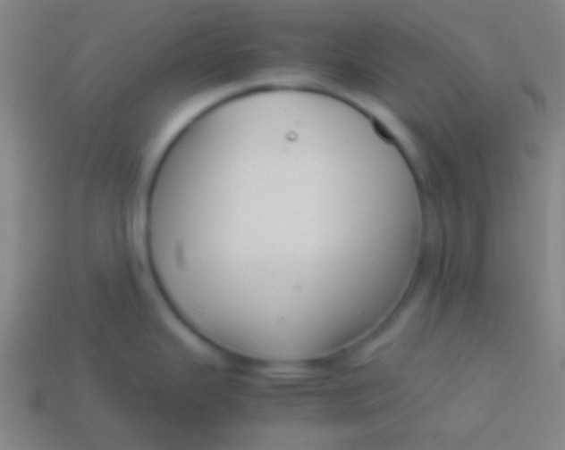 X0000113591343200910161834