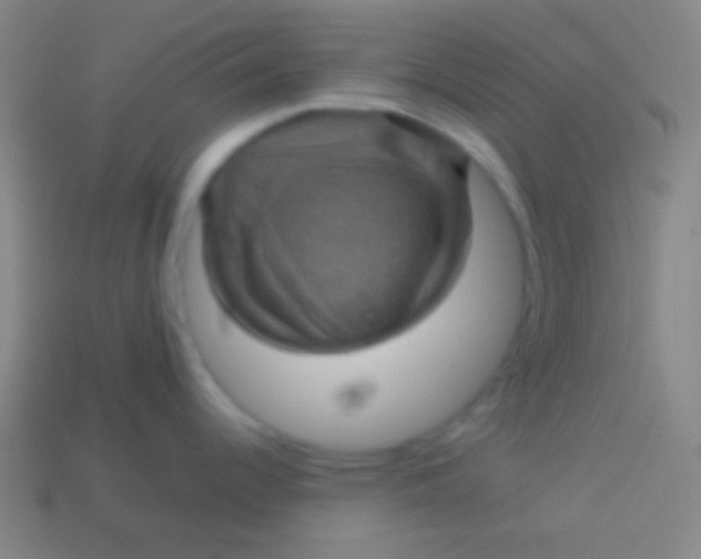 X0000113591344200910161834