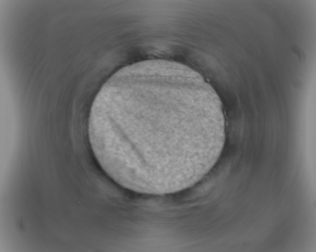 X0000113591345200910161834