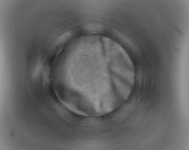 X0000113591346200910161833