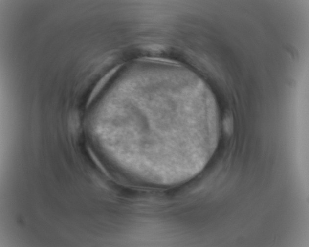 X0000113591347200910161833