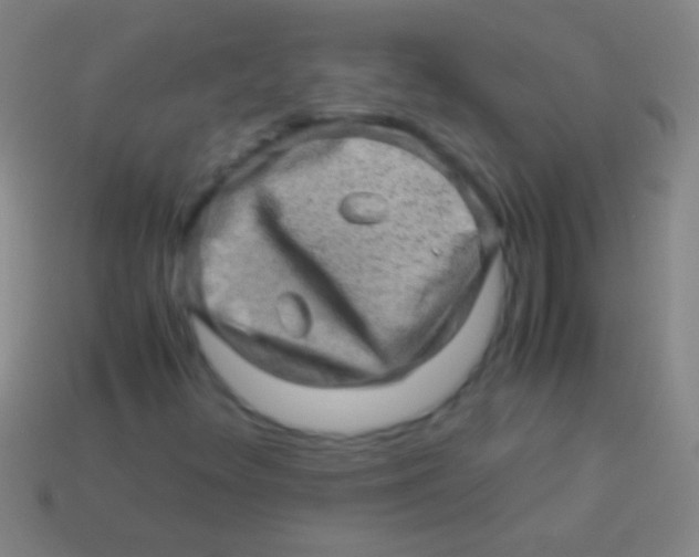 X0000113591348200910161833