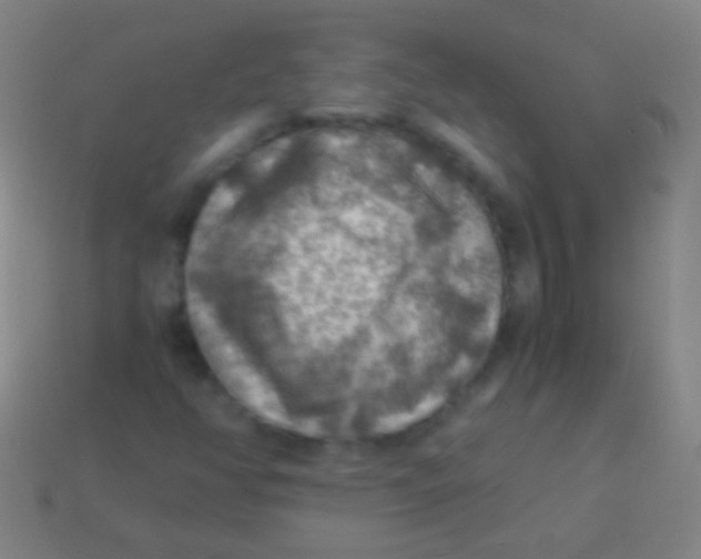 X0000113591350200910161833