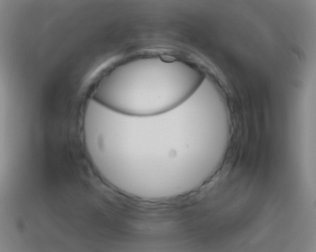 X0000113591352200910161833