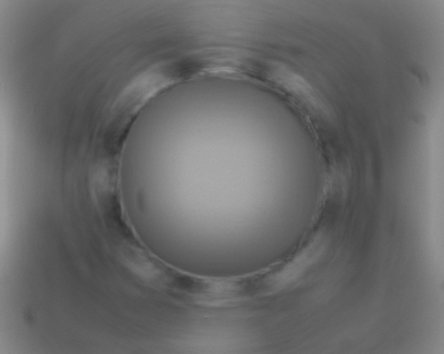 X0000113591353200910161833
