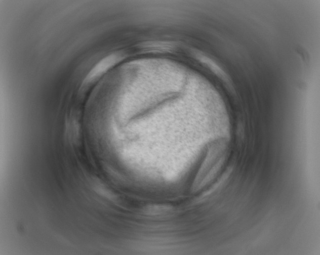 X0000113591354200910161833