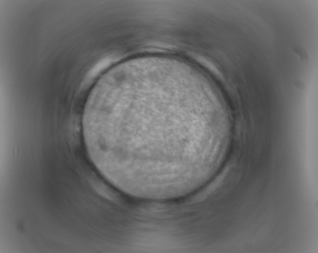 X0000113591355200910161833