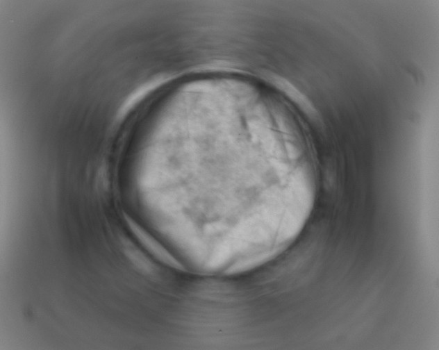 X0000113591356200910161833