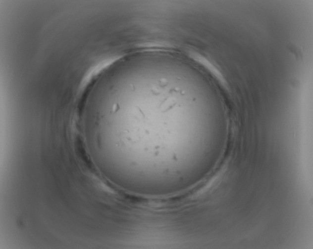X0000113591357200910161833