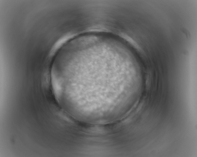 X0000113591358200910161833