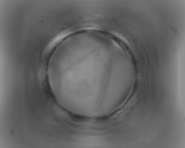 X0000113591359200910161833