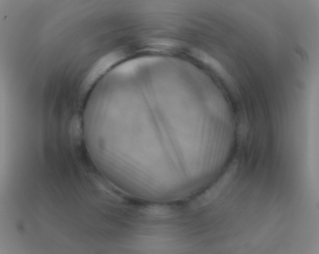 X0000113591362200910161833