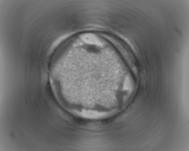X0000113591363200910161833